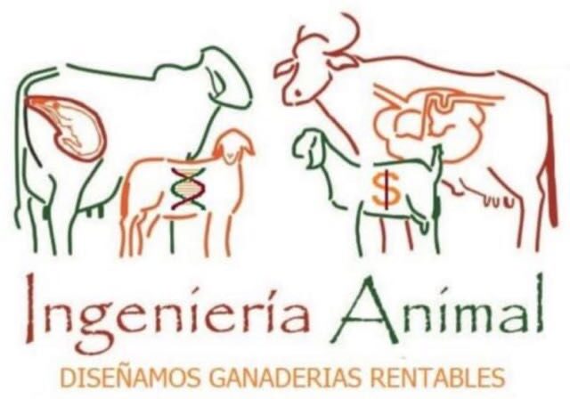 Ingenieriaanimal